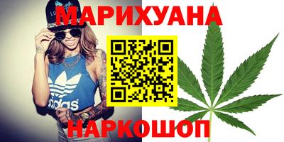 сатива Нальчик