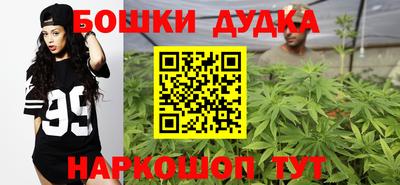 сатива Нальчик