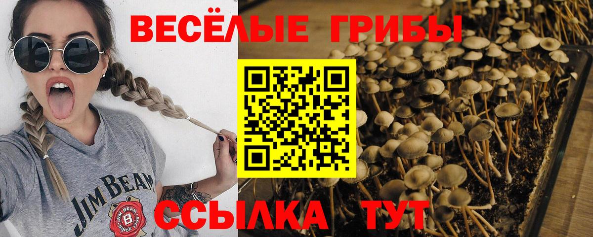 Галлюциногенные грибы прущие грибы Сегежа