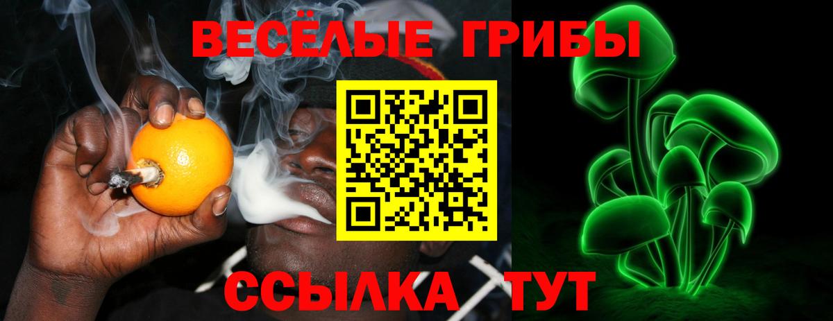 Псилоцибиновые грибы Cubensis  где продают   Вход с VPN  Сегежа  Псилоцибиновые грибы Cubensis 