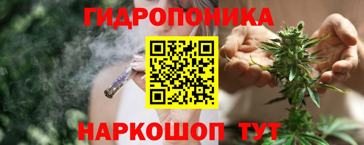 Бошки Шишки марихуана  Марихуана Bruce Banner  Сегежа  Вход с VPN  Марихуана конопля 
